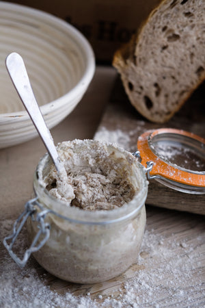 Sourdough Starter