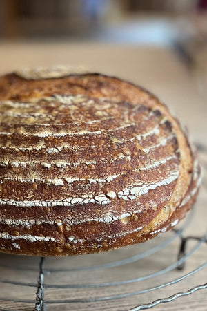 Baking with Wholegrains