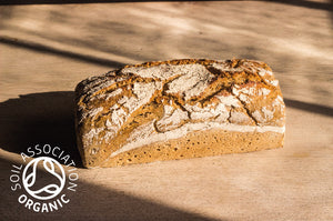 Organic Light Rye Sourdough