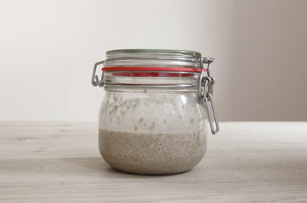 Feeding Sourdough Starter Recipe