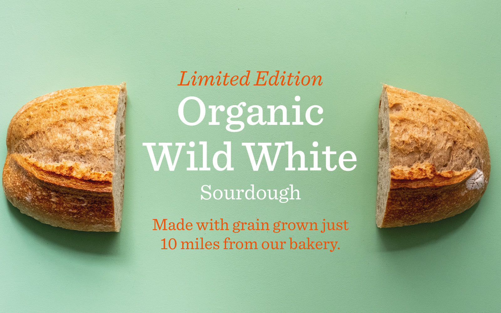Introducing: Limited Edition Wild White
