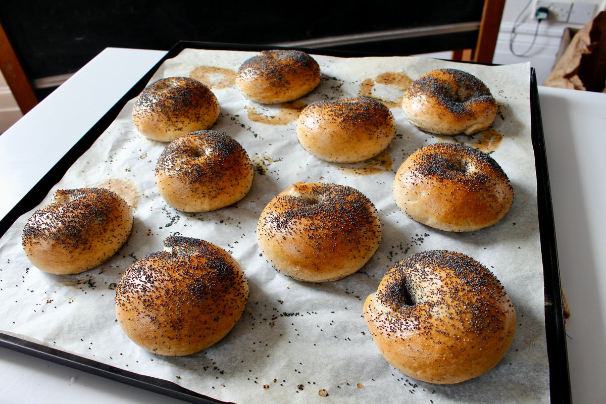 American Sourdough Bagels