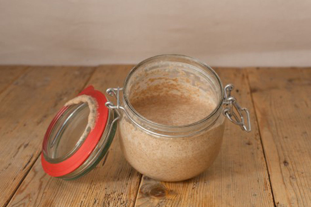 Sourdough Starter Recipe