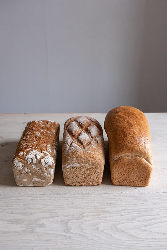 Variety Bread Boxes