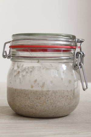 Sourdough Starter