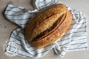 Organic Wild White Sourdough