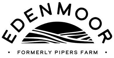 feature-item-1