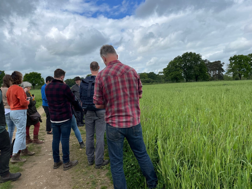 About Wild Buns Hobbs House Bakery